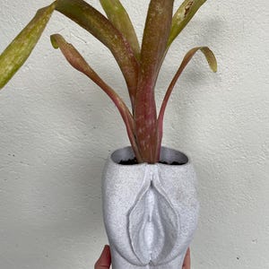 Boxer Gifts Wetter The Better Novelty Body Shaped Planter | Funny Rude Home Décor Gift, Ceramic, White,Black, One Size