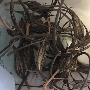 Leanna added a photo of their purchase