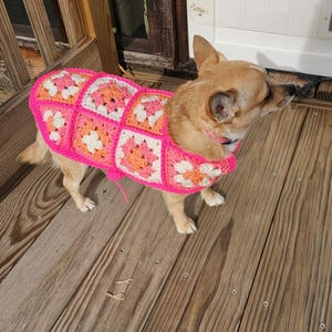 Debi ha aggiunto una foto del proprio acquisto