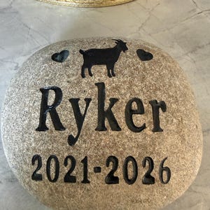 Erin added a photo of their purchase