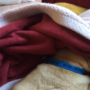 Harriet added a photo of their purchase
