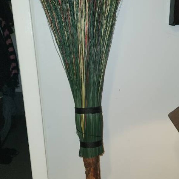 Broom Corn for Sale 20 Hand Dyed 1/2 Lb Bundles, Known as Broom Grass