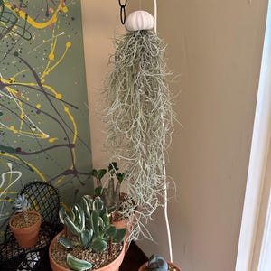 Anne added a photo of their purchase