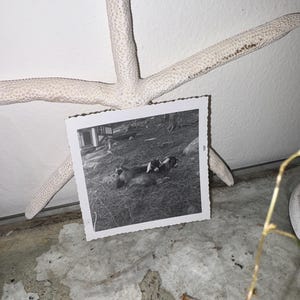 Pearl added a photo of their purchase