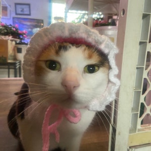 Teddy added a photo of their purchase