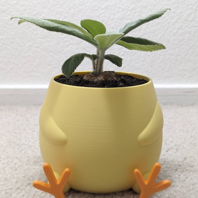 Love Without The Handles Egg Plant main image 1