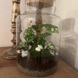 Lyne a ajouté une photo de son achat
