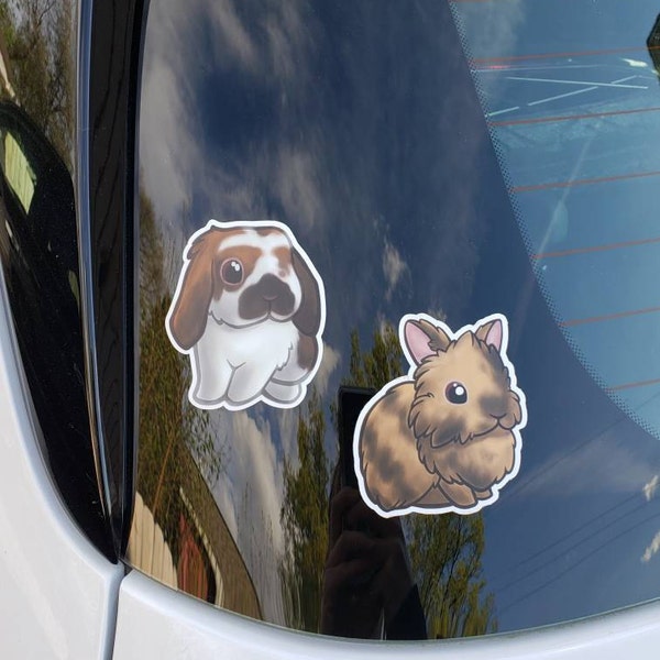 Black Harlequin Lionhead Rabbit Sticker; Cute Orange Black Bunny ...