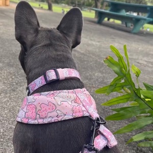 Dallas added a photo of their purchase