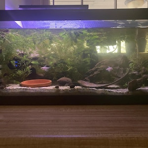 Emma added a photo of their purchase