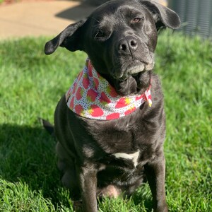 kelsey added a photo of their purchase