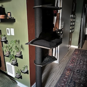 Danielle added a photo of their purchase