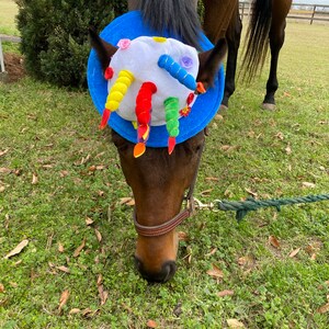 BLACK Pom Pom Cappello da equitazione Lycra Copertura di seta con dettagli glitter Cavallo Pony FOC PP 