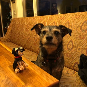 Audrey ha añadido una foto de su compra