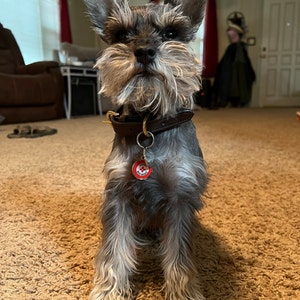Brooklyn added a photo of their purchase