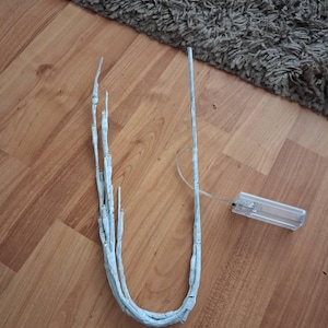 Fiona added a photo of their purchase