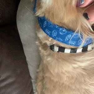 christy a ajouté une photo de son achat