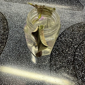 Samuel added a photo of their purchase