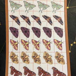 Lilla added a photo of their purchase