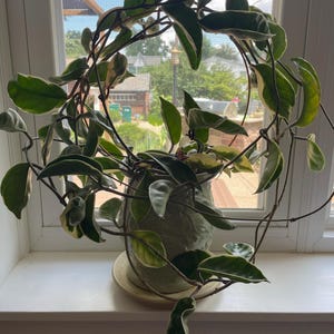 kathy added a photo of their purchase