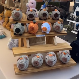 Renae hat ein Foto des gekauften Artikels hinzugefügt