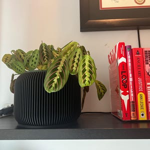 Carrisa ha añadido una foto de su compra