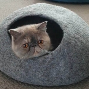 Elizabeth added a photo of their purchase