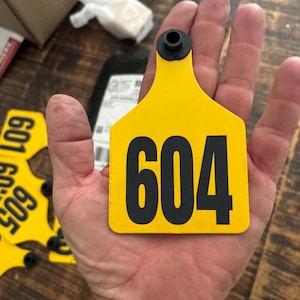 Zackery added a photo of their purchase
