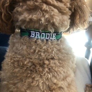 Madison added a photo of their purchase