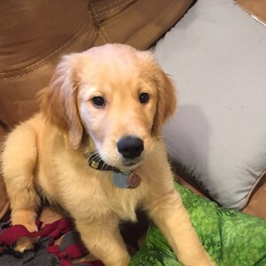 dottlja added a photo of their purchase