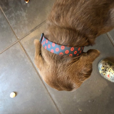 polka dot bow tie and suspenders