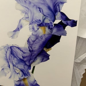 Lisa added a photo of their purchase