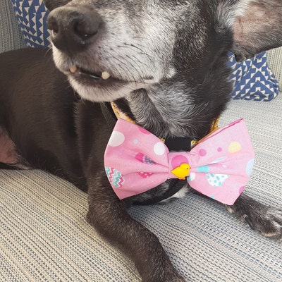 easter dog bow tie