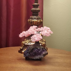 Susan added a photo of their purchase