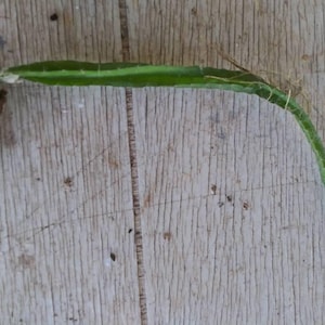 Gary ha añadido una foto de su compra