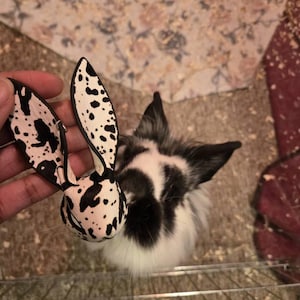 Nada adicionaram uma foto da sua compra