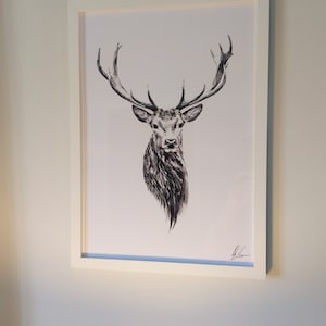 Ryan added a photo of their purchase