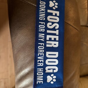 Laura added a photo of their purchase