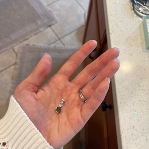 Maddie added a photo of their purchase