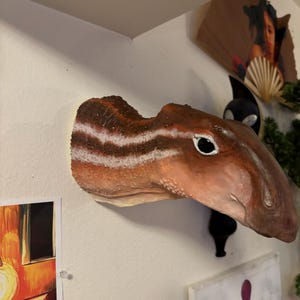 Clay added a photo of their purchase