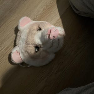 Chastity heeft een foto van de aankoop toegevoegd