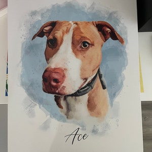 Kaitlyn heeft een foto van de aankoop toegevoegd