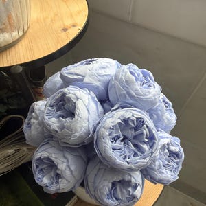 R added a photo of their purchase