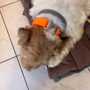 Francoise added a photo of their purchase