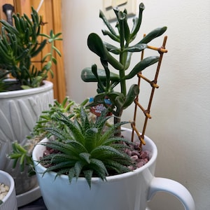 Ann added a photo of their purchase