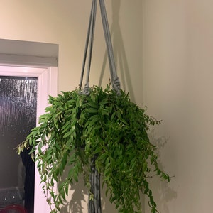 NICOLA added a photo of their purchase