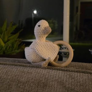 Renate added a photo of their purchase