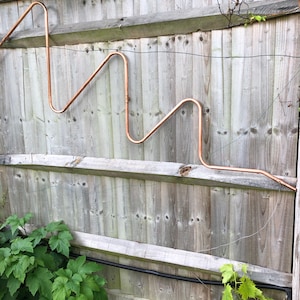 Ann added a photo of their purchase