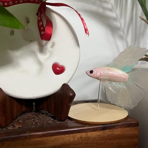 Karen added a photo of their purchase
