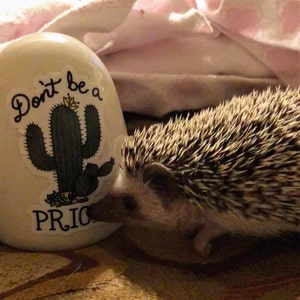 Claudia added a photo of their purchase
